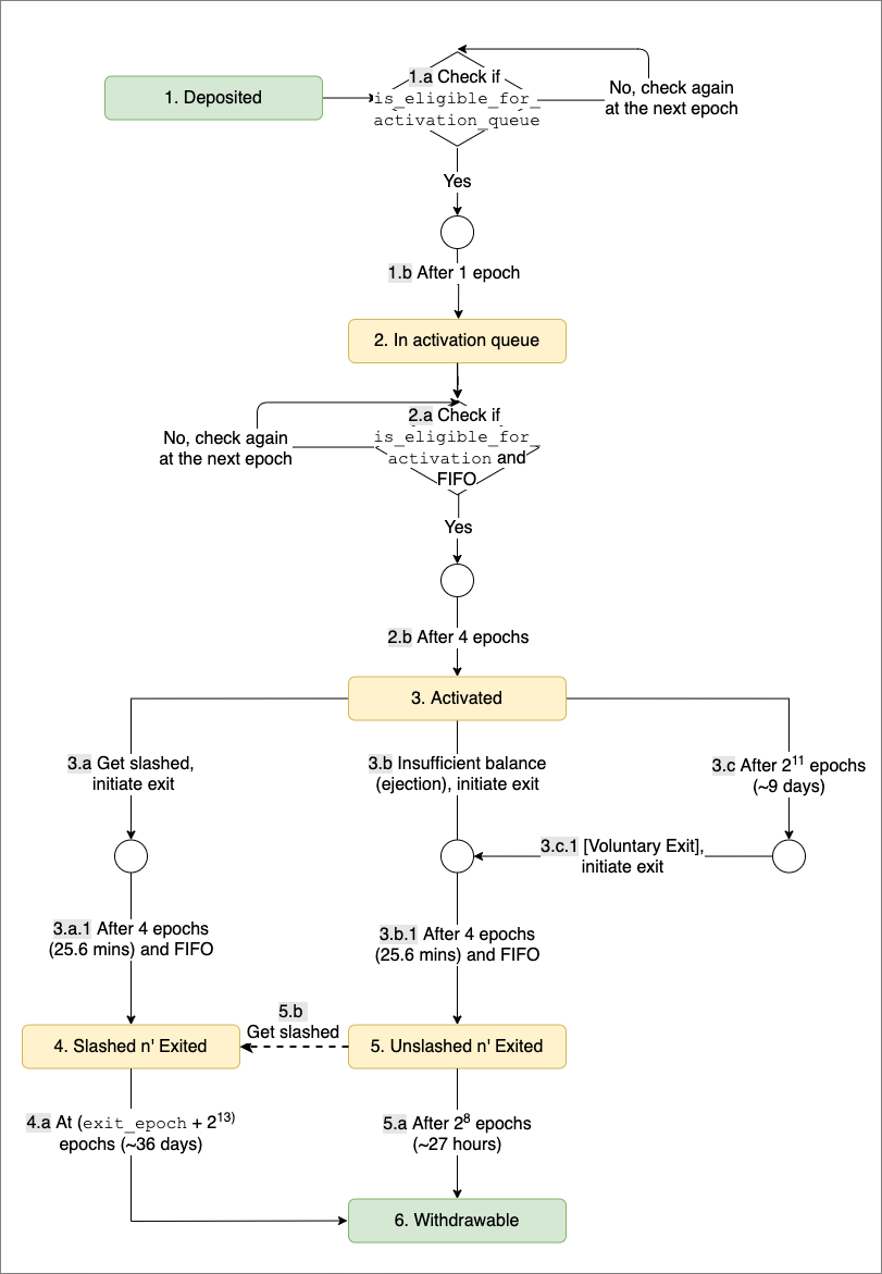 The Ethereum validator lifecycle, accounting for activation and withdrawal queue times